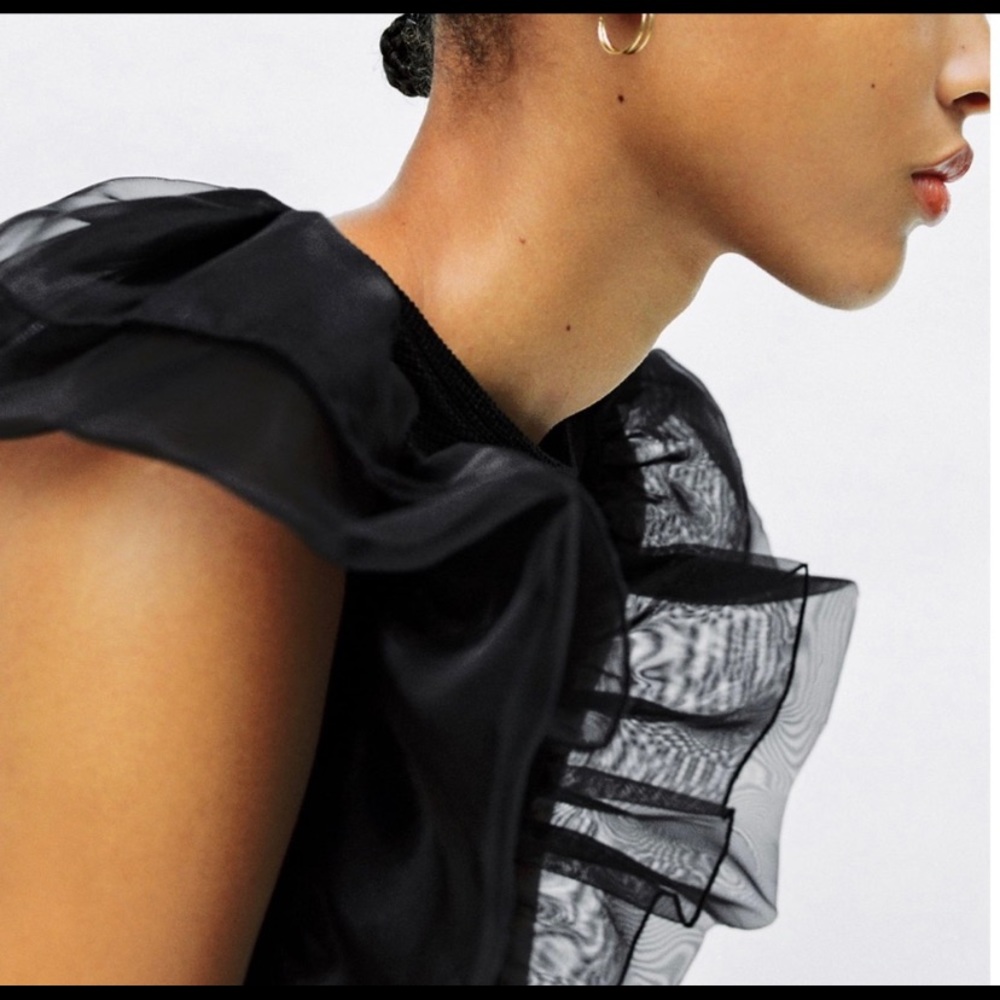 COPY - Zara Black Knit Top w/  Ruffle Organza Sleeves